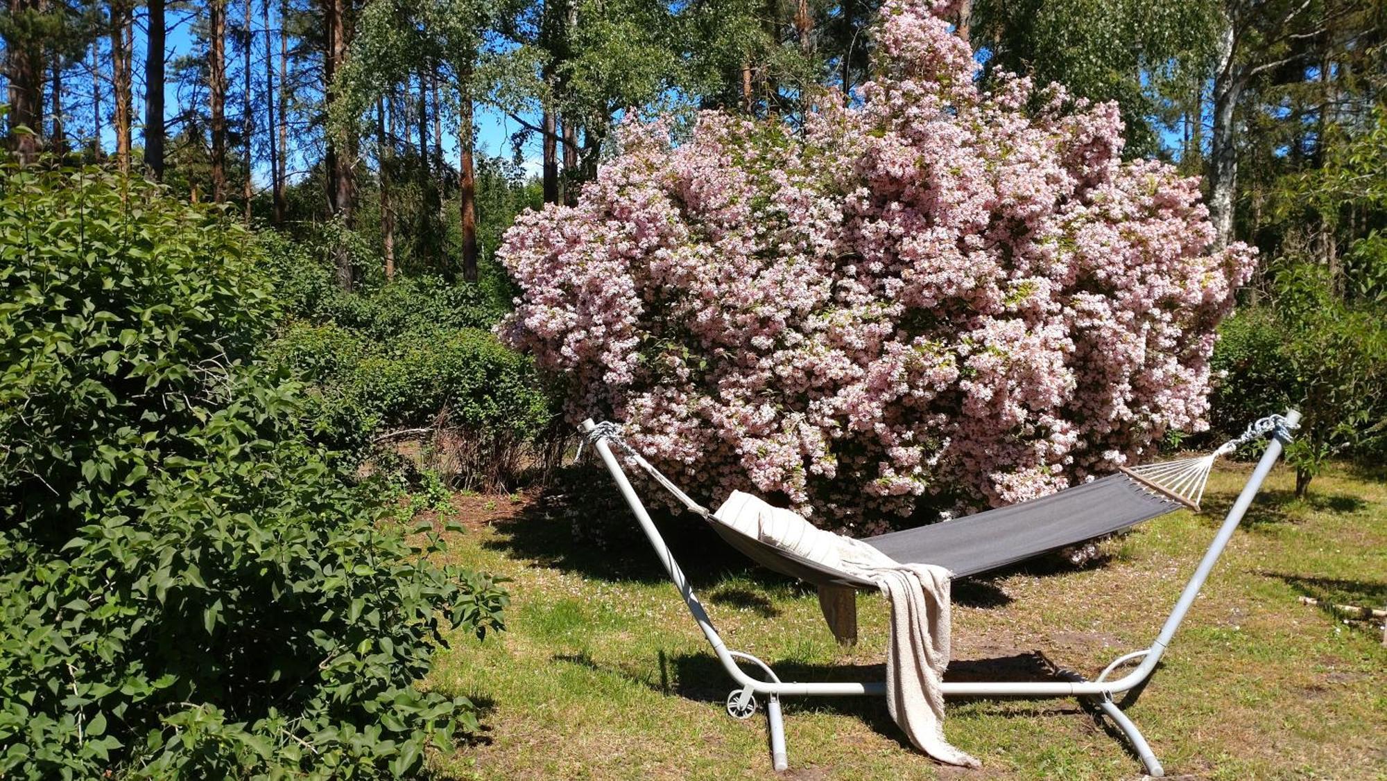 Oesterlencharm Löderup Exteriér fotografie